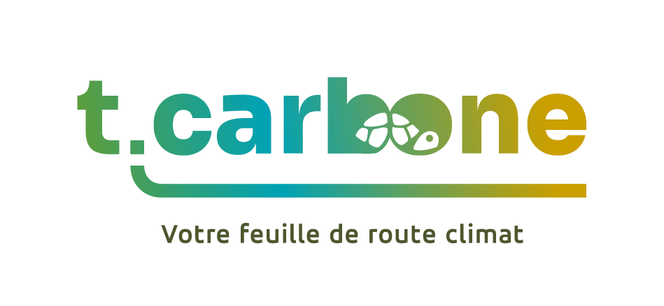 logo t carbone