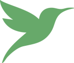 colibri vert